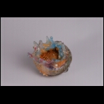 Opening the Opal (Anemone) 4 x 4 x 4 in.jpg